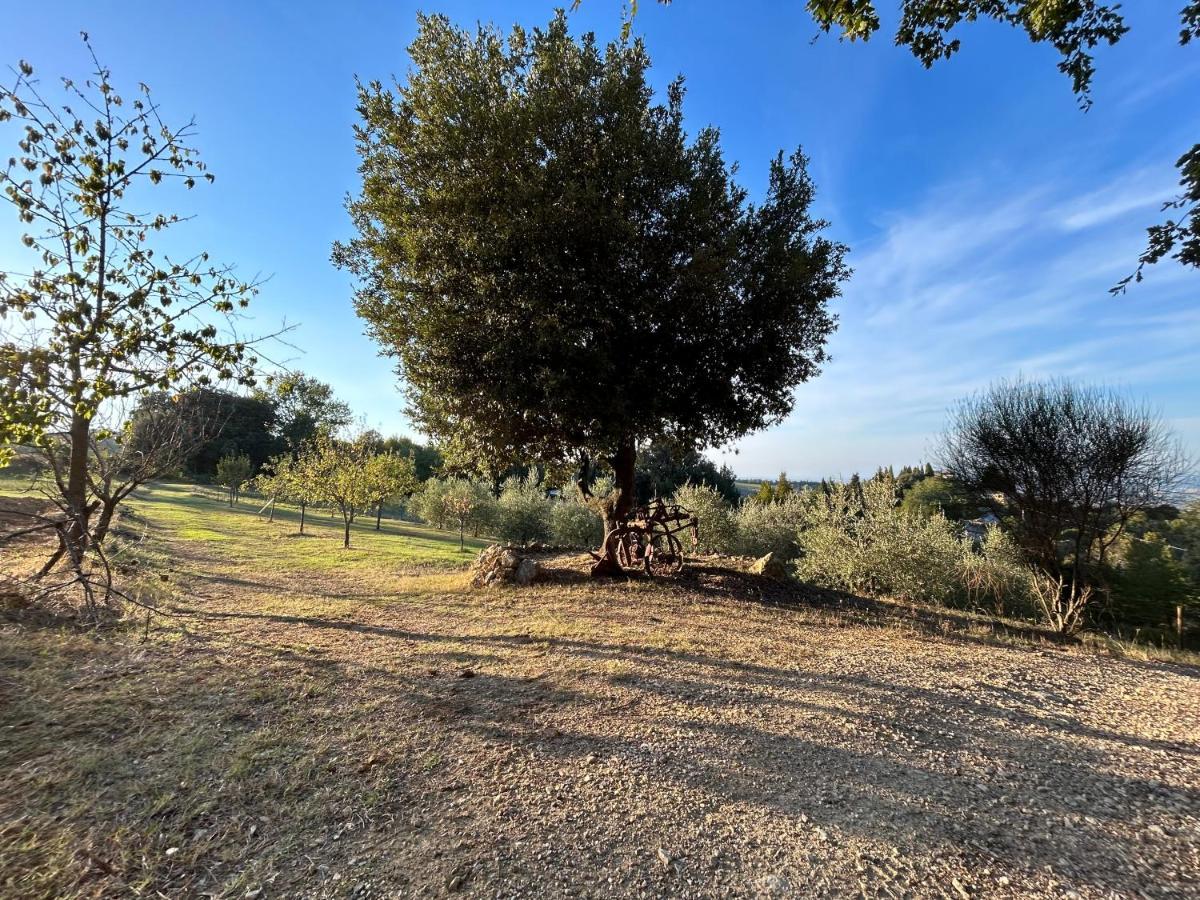 Casale Di Valle Mora San Gimignano Dış mekan fotoğraf